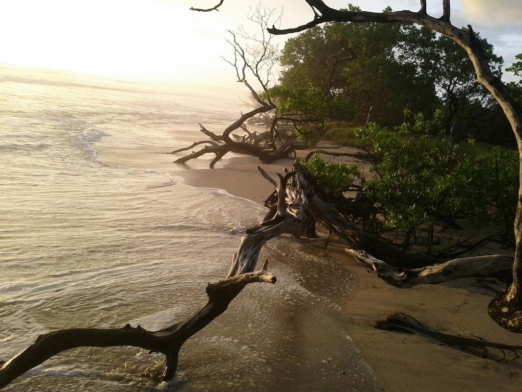 Cabinas Las Olas Playa Avellana Kültér fotó