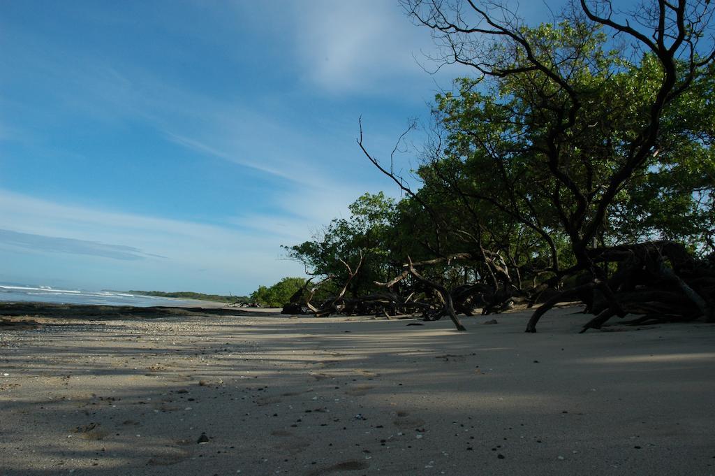 Cabinas Las Olas Playa Avellana Kültér fotó