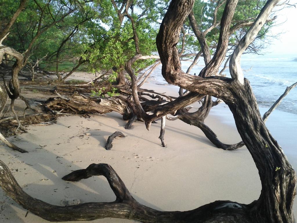 Cabinas Las Olas Playa Avellana Kültér fotó